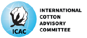 Logo ICAC